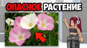 САМЫЕ ОПАСНЫЕ РАСТЕНИЯ