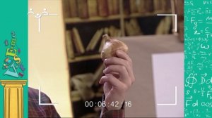 АЗН. Физика. Сила упругости