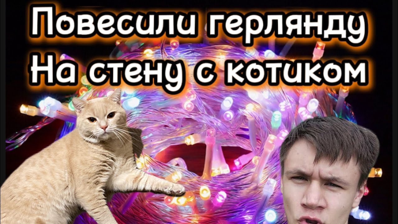 ⭐️Мы повесили герлянду на стену.💥 смотреть онлайн