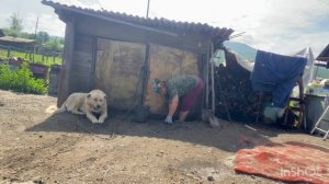 Откапываюсь после ливня Ответы на вопросы