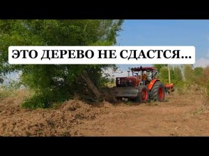 4 МИНУТЫ ЖЕСТИ 😳 ТРАКТОР ПРОТИВ ДЕРЕВА 🌳#tractor #трактор #мтз #техника #тракторист #viral #offroad