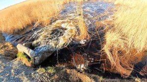 ПАУК ЗАТРЕЩАЛ С ПЕРВОГО ПОДЪЁМА! ПОПАДАЕТ СТОЛЬКО, ЧТО ПРИХОДИТСЯ ВЫПУСКАТЬ! Рыбалка пауком с трассы