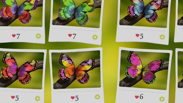 Разукрашиваю бабочек| Butterflies|Nastya Lion. смотреть онлайн
