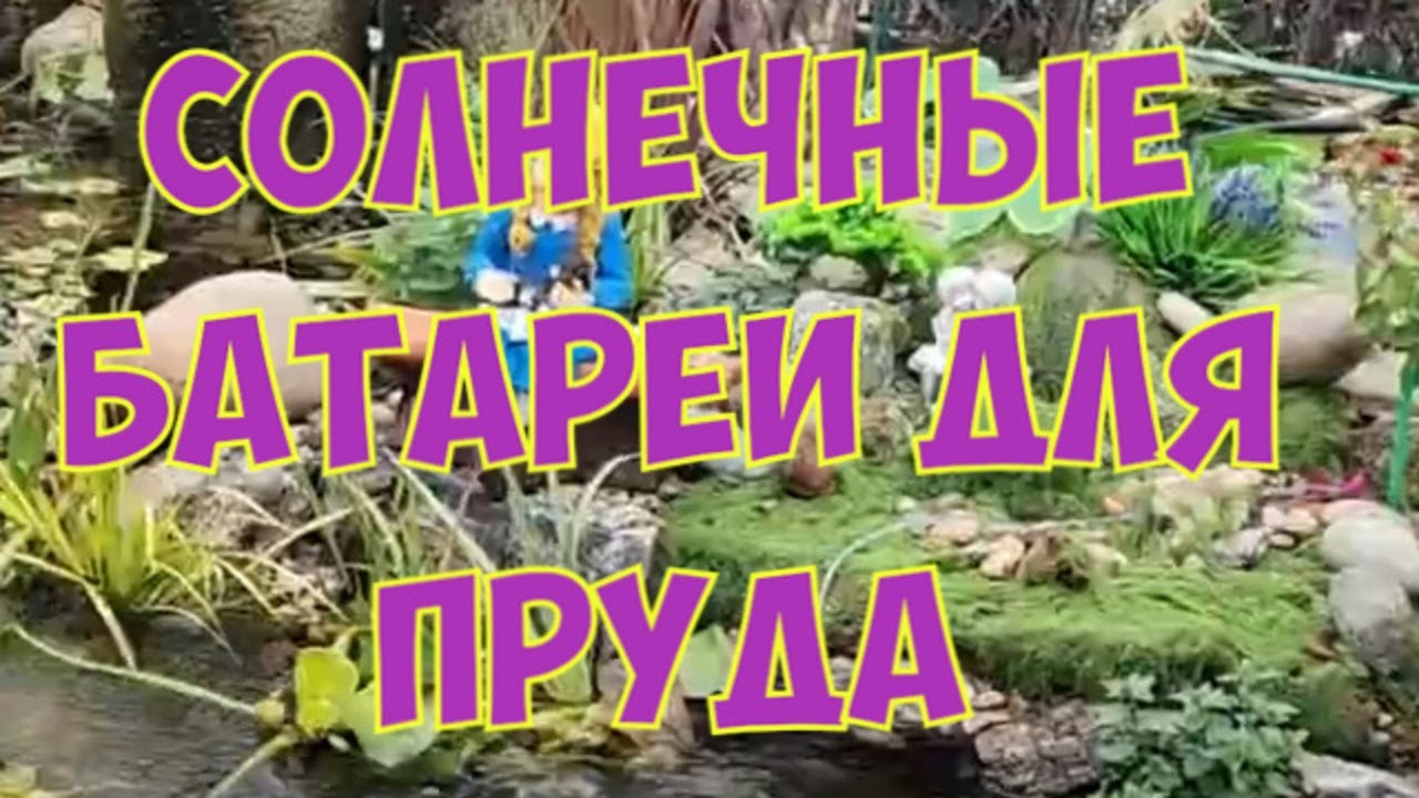 ДЕКОРАТИВНЫЙ ПРУД бЕЗ ЗАБОТ — это реально! смотреть онлайн