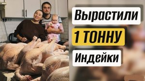 Индюки от А до Я: наш сезон бройлерной индейки 2025г. Делимся всем!
