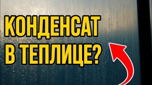 Конденсат в теплице на плёнке — причины и 5 способов убрать НАВСЕГДА #землядел