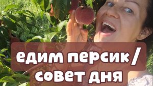 Жадность не позволила, про персик и наши завтраки