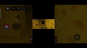1000008445.mp4