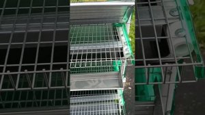 сколько стоит пластиковая клетка для перепелов