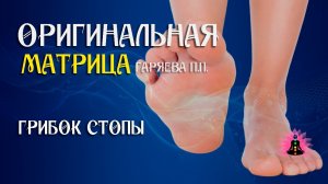«Грибок стопы» ⚠️ Оригинальная матрица Гаряева П.П ☀️ SoftRadio.ru