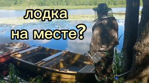 Лодка на месте. А мы снова за земляникой. 01.07.2026