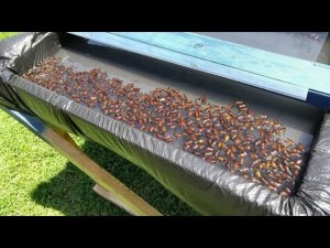 Парень Сделал Ловушку для слепней и она УНИЧТОЖАЕТ ИХ ТЫСЯЧАМИ!