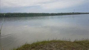 погоня за окунями.Рыбалка
