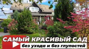 Малоуходный сад: миф или реальность. Самый красивый пейзажный сад своими руками!