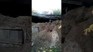 ЖЕСТЬ НАШЛИ ЗАБРОШЕННЫЙ ДВОР
