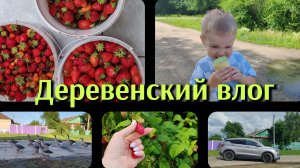 Деревенский влог/Природа/Урожай/Арсений первый раз за рулем