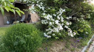 #59 ☘️ Швейцарская деревня, от которой невозможно оторваться 🌿 Идеальные палисадники