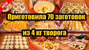 ЗАГОТОВКИ ИЗ ТВОРОГА 🥯 ПРИГОТОВИЛА 70 ЗАГОТОВОК ИЗ 4 КГ ТВОРОГА 🧇🥪ДОМАШНИЕ ПОЛУФАБРИКАТЫ ❄️ ВКУСНО 😍
