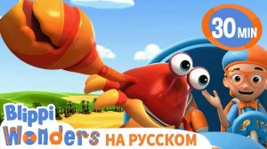 Замок из песка _ Изучай этот мир вместе с Блиппи _ Обучающие видео для детей _