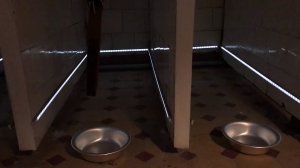 Ожидалка/Инсталляция/Проект Новая антропология/Музей академика Павлова/Колтуши/2019