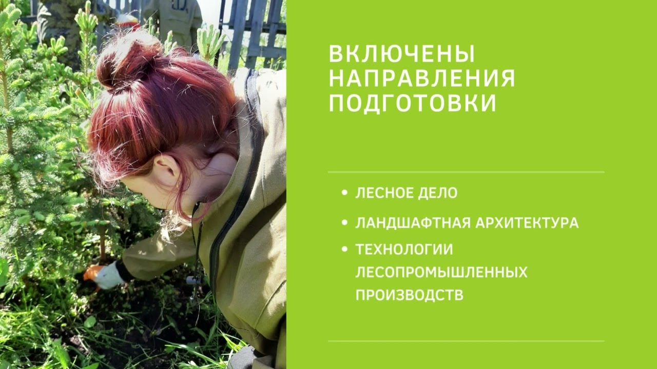 39.00.00 «Лесное хозяйство лесопромышленные технологии» смотреть онлайн