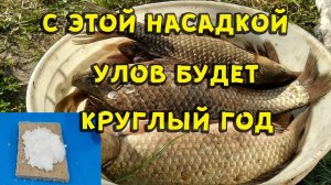 На эту насадку рыба активно реагирует круглый год