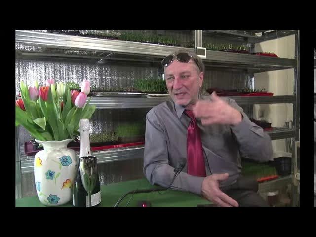 Копия видео "Делимся опытом, отвечаем на вопросы. Ситиферма, гидропоника, микрозелень" смотреть онлайн