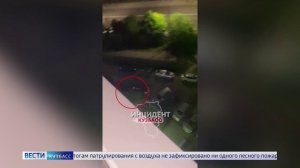 Охотоведы проверяют информацию о медведе в одном из районов Кемерова