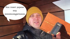Конечно же, как все и говорили! Дерево гниет под пенополиуретаном