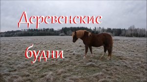 Дрова, окна, забор. Ноябрь на Лесном Хуторе.