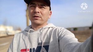 Реф или штора? что выбрать для новичка. #хегельман #работа в Польше