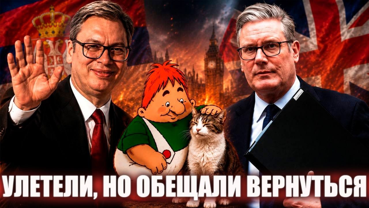 Политика
