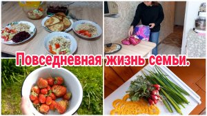 Повседневная жизнь семьи// Ужин// Дача