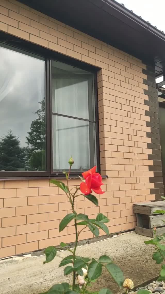 Июнь 2026
