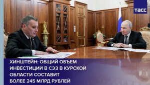 Хинштейн: общий объем инвестиций в СЭЗ в Курской области составит более 245 млрд рублей