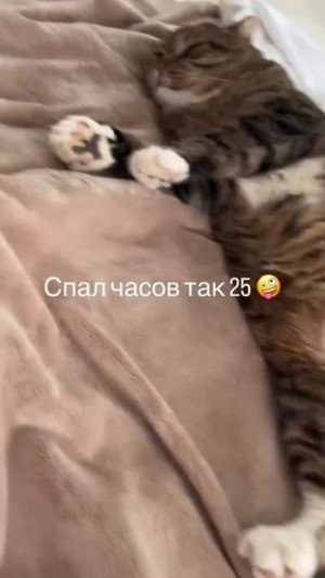 Доброе утро вторника