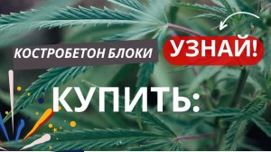 Костробетон блоки купить: советы и рекомендации. Стройматериалы из конопли. hempshops