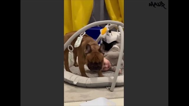 Когда ваш малыш и собака ведут целый секретный разговор 🐶