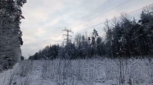 просека ЛЭП, лесопарк Красные Зори, Петергоф, 04.02.2025