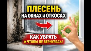 Плесень на окнах и откосах как убрать и чтобы не вернулась 3 шага.