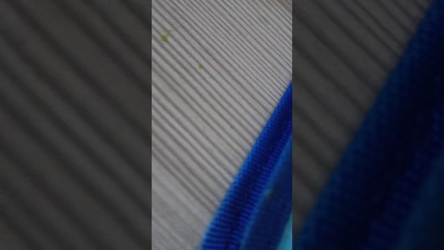 скейты смотреть онлайн