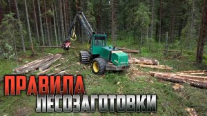 Правила лесозаготовки. #лесозаготовка #харвестер #форвардер #automobile
