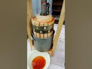 Пресс для яблок