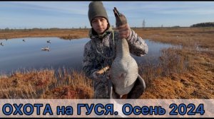 ОХОТА на гуся осень 2024