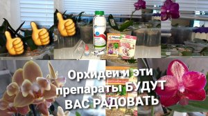 для Орхидей я пользуюсь только этими Препаратами/Как применяются Расскажу/Не  влияют на рост Орхидеи