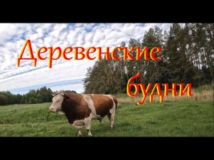 Хлопоты по хозяйству. Жизнь на Лесном Хуторе.