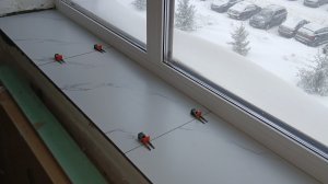Подоконник утепляем .Ремонт в новостройке
