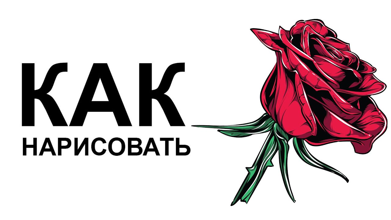 Рисуем цветы карандашом. Как нарисовать розу поэтапно смотреть онлайн