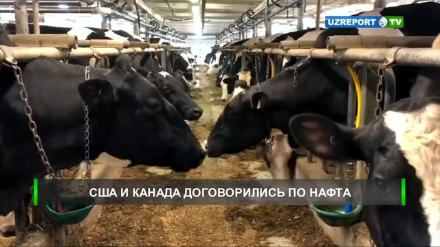 Канада и США согласовали изменения в НАФТА смотреть онлайн
