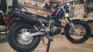 Купил SCOUT TW 250